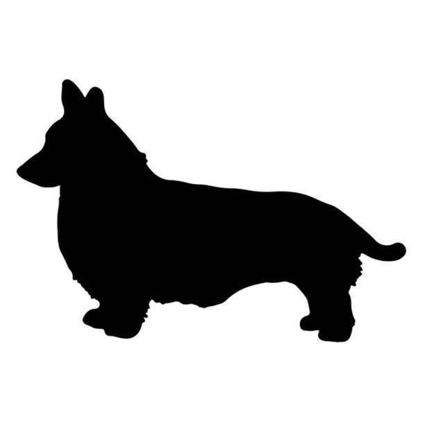 Dorgi Dog Acrylic Keyring Blank - Pack of 6