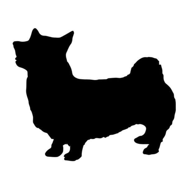 Corgi Dog Acrylic Keyring Blank - Pack of 6