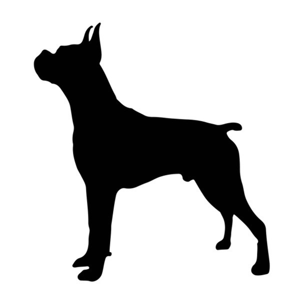 Boxer Dog Acrylic Keyring Blank - Pack of 6