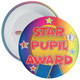 Pack of 20 School Multi Coloured Star Pupil Award Badge 2