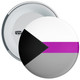 Demisexual LGBTQ+ Identity Pin Badge
