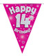 Happy 14th Birthday Bunting Pink Holographic
