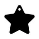 12 Pack - 30mm Star Acrylic Blank
