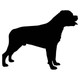 Rottweiler Dog Acrylic Keyring Blank - Pack of 6