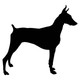 Doberman Dog Acrylic Keyring Blank - Pack of 6