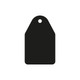 Pack of 6 - Tag Acrylic Keyring Blank