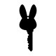 Easter Bunny Magic Key Acrylic Blank (Style 2) - Pack of 6