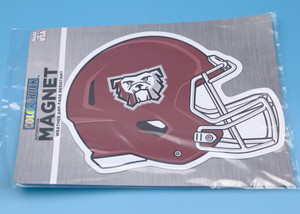 Car Magnet Large