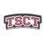 TSCT Magnet