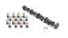 ELGIN ELGIN SBF Cam & Lifter Kit - 484/484-110 272 Duration ELGCL-1790PK ELGCL-1790PK