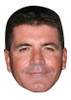 Simon cowell celebrity face party face fancy dress