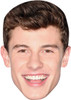 Shawn Mendes Tv Stars Face Mask