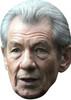 Ian Mckellen Xmen Celebrity Face Mask