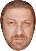 Sean Bean Celebrity Party Face Mask