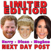 Limited EDITION Prince Harry Princess Diana Di Meghan Markle Royal Celebrity Face Mask