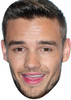 Liam payne celebrity music star celebrity party face fancy dress