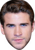 Liam Hemsworth tv movie star celebrity face mask Fancy Dress Face Mask 2021
