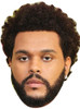 The Weeknd Music celebrity Party face mask Fancy Dress