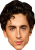 Timothée Chalamet JB Fancy Dress Cardboard Celebrity Face Mask