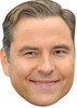 David Walliams Mint Tv Celebrity Face Mask