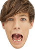 Louis Tomlinson 1 Direction 1 Face Mask