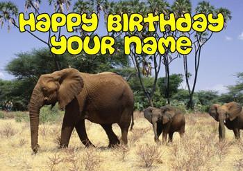 Elephants Birthday Card