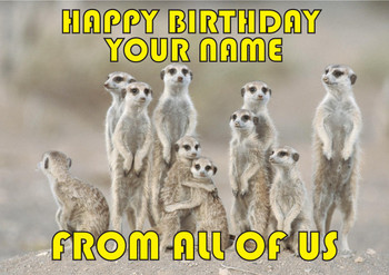 Meerkats Group Birthday Card
