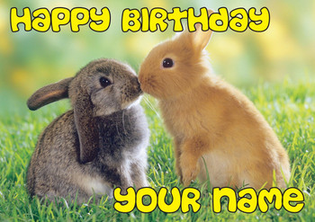 Rabbits Kissing Birthday Card