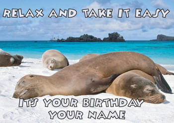 Sea Lions Relax Birthday Card