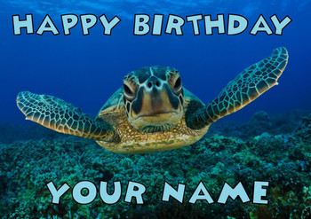 Sea Turtle Birthday Card