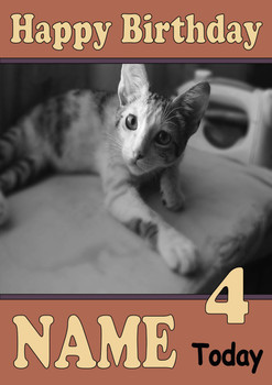 Personalised Kitten 2 Birthday Card