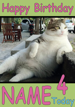 Cat Leaning On Curb Personalised Birthday Card