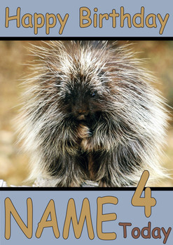 Porcupine Personalised Birthday Card