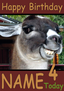 Smug Llama Personalised Birthday Card