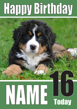 Bernese Mountain Pup Dogs And Puppies Happy Birthday