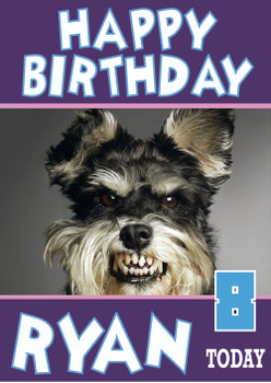 Gumpy Dog Funny Birthday Card