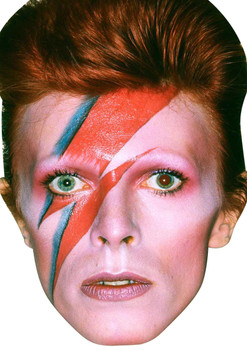 David Bowie 80s Celebrity Music Star Face Mask