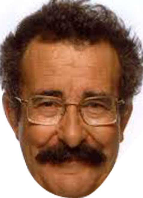 Robert Winston Tv Star Celebrity Party Face Mask | Fancy Dress