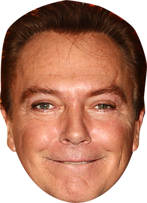 David Cassidy Music Celebrity Party Face Mask | Fancy Dress