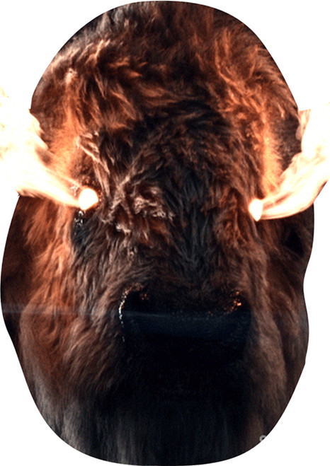 Bison Celebrity Party Face Mask