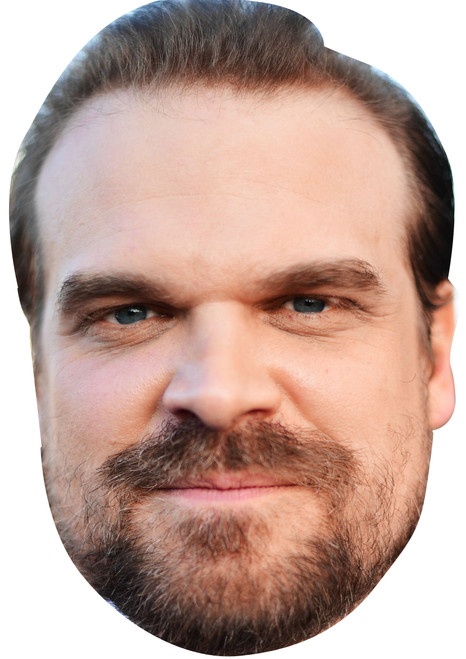 David Harbour Stranger Things Tv Movie Star Celebrity Party Face Mask | Fancy Dress