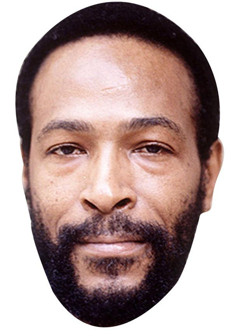 Marvin Gaye Jb - Music Star Fancy Dress Cardboard Celebrity Face Mask