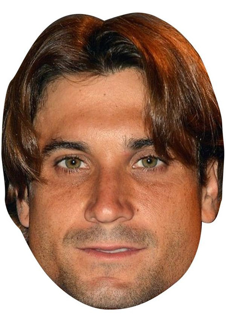 David Ferrer Jb - Tennis Fancy Dress Cardboard Celebrity Face Mask