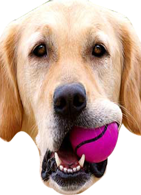Bouncer Neighbour Face Mask