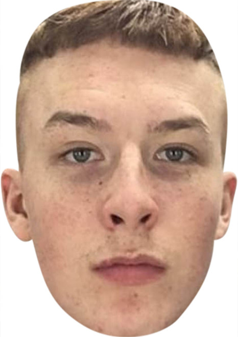 Harry Kirton Celebrity Party Face Mask