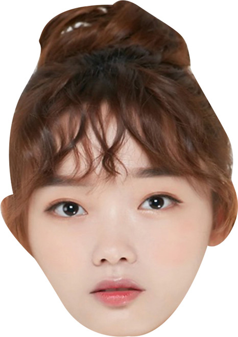 Lee Yoo-Mi Squid Game Celebrity Fancy Dress Cardboard Face Mask