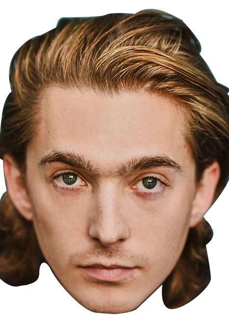 Austin Abrams Actor Celebrity Fancy Dress Face Mask