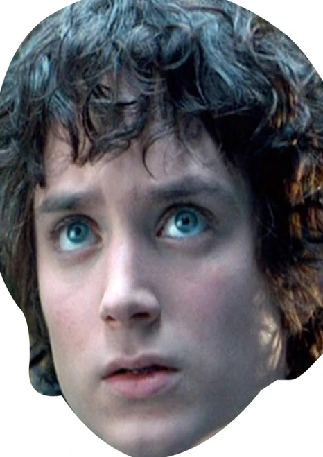 Lotr Frodo Baggins Fancy Dress Cardboard Celebrity Face Mask