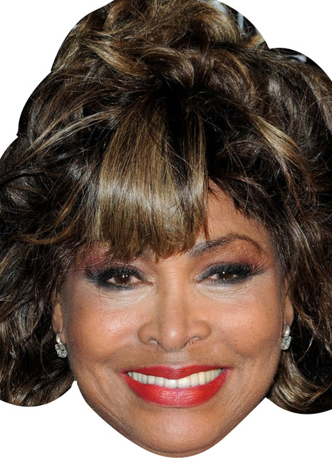 Tina Turner Celebrity Party Face Mask | Fancy Dress