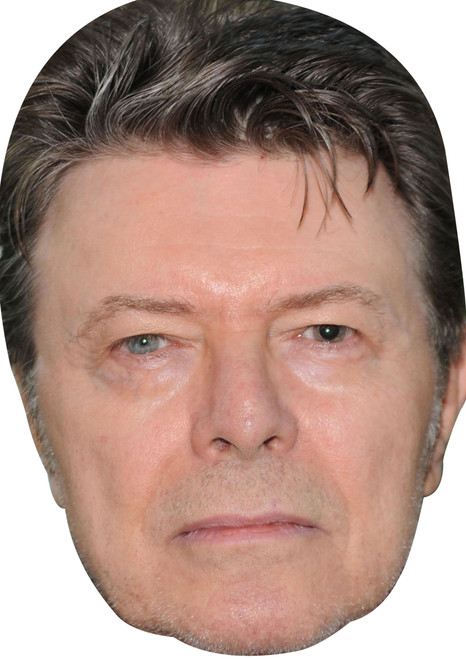 David Bowie Celebrity Party Face Mask | Fancy Dress